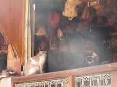 -穆莱拉赫制革厂