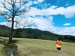 -奈良公园