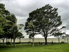 -深圳湾公园(南山区)