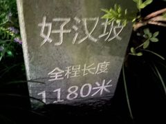 -梧桐山风景名胜区