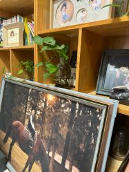 -憨大叔儿童摄影 90店连锁(房山城关店)