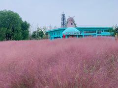 -北龙湖湿地公园
