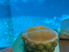 -涛·海底餐厅·美人鱼·自助餐·海底隧道(三亚海棠湾洲际度假酒店)