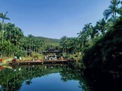 -北海金海湾红树林生态旅游区