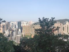 -太平山顶