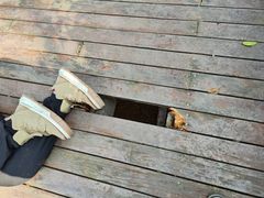 -上海佘山国家森林公园天马山园