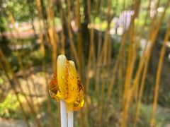 -成都川菜博物馆