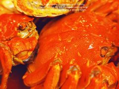 神仙虾蟹双拼-神仙馆(衡山路店)