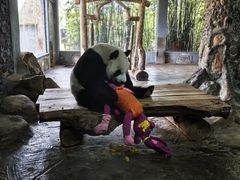 -海南热带野生动植物园