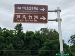 -川西竹海景区