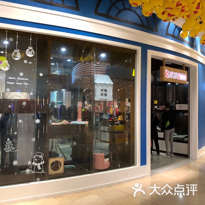 爪爪宠物喵星球图片-北京宠物店-大众点评网