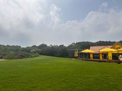 -济州森林小火车生态公园