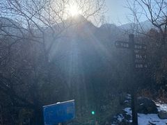 -阳台山自然风景区