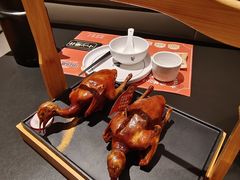 -羽鸽集·乳鸽专门店·地道顺德菜(岭南站店)