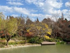 -上海滨江森林公园