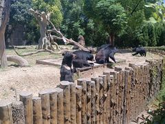 -常州淹城野生动物世界