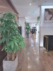 -崇尚GAVIN STYLE臻选