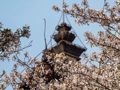-西安青龙寺遗址景区