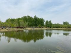 -东郊湿地公园