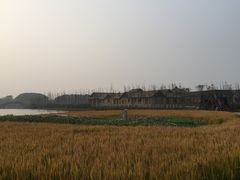 -乌村