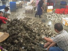 -蚝专家(北滘店)