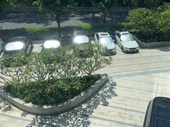 -海湾壹品·粤菜·早茶·烤鸭(拱北店)