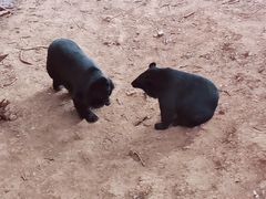 -昆明动物园