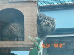 -青藏高原野生动物园
