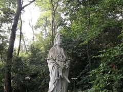 -紫金山山顶公园