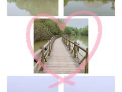 -上海吴淞炮台湾国家湿地公园