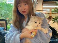 -咖法森林·咖啡  酒吧(天河店)