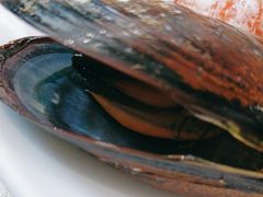 -好兄弟郭巨海鲜(天一阁店)