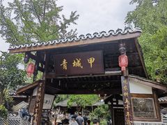 -青城甲(青城山店)