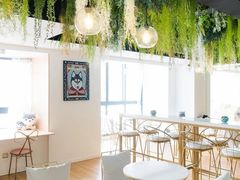 -Husky Go! 哈士奇体验馆·宠物咖啡厅狗咖