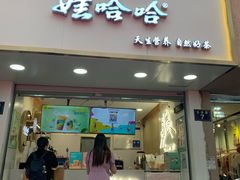门面-娃哈哈·奶茶(武林店)