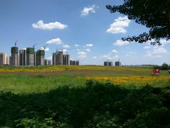 -丁香湖公园