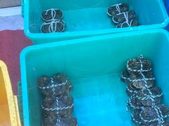 -蟹天蟹地农家菜·阳澄湖大闸蟹(浅水湾店)