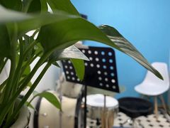 -大象音乐·吉他·架子鼓·声乐(双井店)