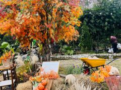 -HERRE·FARM 赫尔露营农场·团建聚会包场