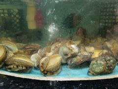 -迎喜海鲜酒楼(鹏森·海纳中心店)
