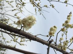 iphone_upload_pic-苏州海洋馆
