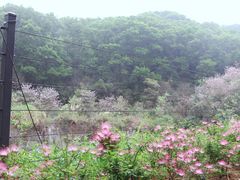 -云溪植物园
