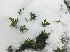 -黑龙江中医药大学