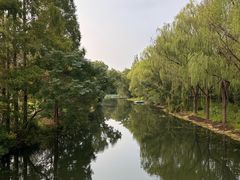 -昆山城市生态森林公园