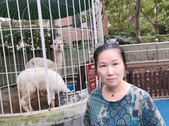 -上海崇明金茂凯悦酒店