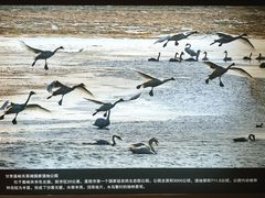 -嘉峪关城市博物馆