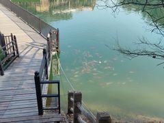 -庐山西海主景区