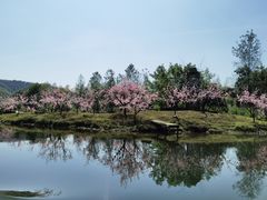 -常德桃花源景区