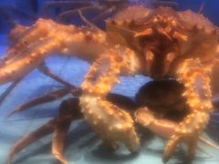 -阿伟海鲜楼·福建菜(延寿店)
