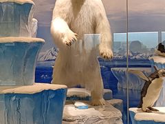 -国家自然博物馆